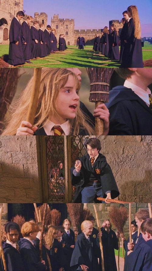 吃瓜的图片哈利波特,哈利波特与神秘瓜田之谜