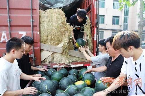 洛阳师范学院吃瓜,揭秘校园美食风云