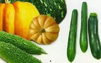 吃瓜伊人,揭秘娱乐圈背后的真实故事