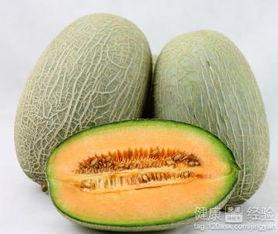 gemini吃哈密瓜,Gemini与哈密瓜的甜蜜邂逅