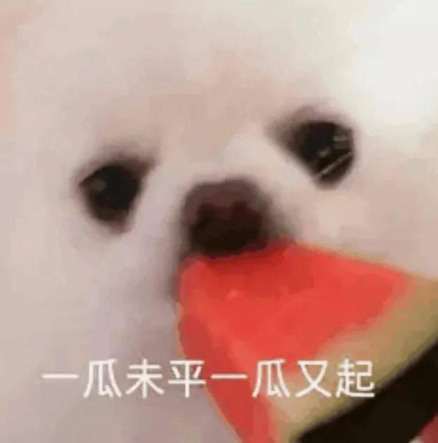 吃瓜UU,网络红人的崛起与影响力