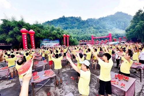 踏月吃瓜比赛,踏月吃瓜大赛欢乐盛况全记录