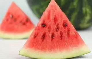 形容吃瓜的好词,品鉴美食的愉悦之旅