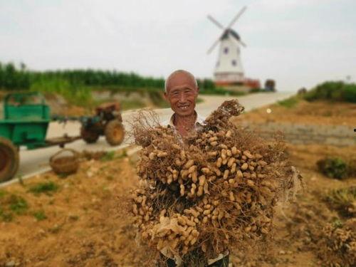 金山银山吃瓜视频,揭秘网络红人背后的故事