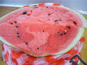 蘸白糖吃的瓜是什么瓜,揭秘蘸白糖的瓜之谜