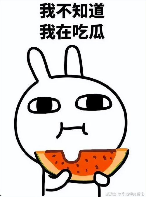 瓜瓜吃瓜动作,趣味横生的瞬间捕捉