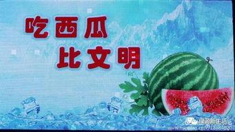 晴天吃瓜总结,夏日消暑的悠闲时光