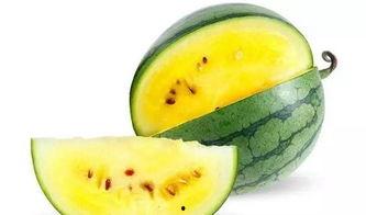 带你吃瓜魔幻重庆,带你吃瓜游重庆