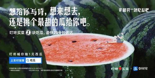 抓鱼吃瓜文案,夏日狂欢盛宴