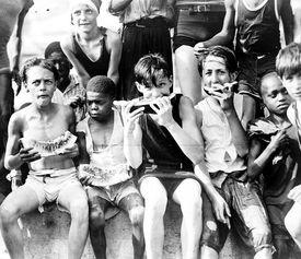 吃瓜摄像,揭秘吃瓜摄像背后的趣味与真相