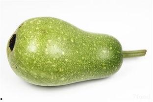 瓠瓜吃的好处,营养丰富的健康佳品，养生保健的天然良药