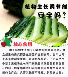 挂吊瓶吃瓜,病中悠闲的惬意时光